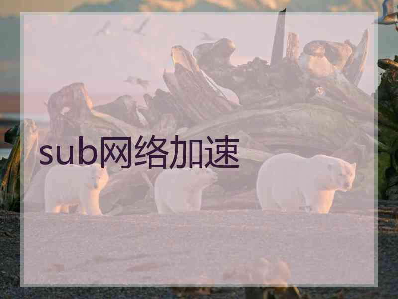 sub网络加速