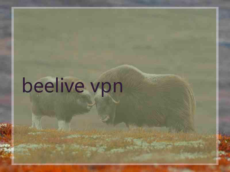 beelive vpn