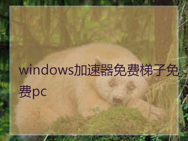 windows加速器免费梯子免费pc