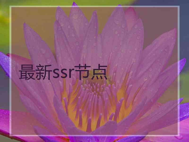 最新ssr节点