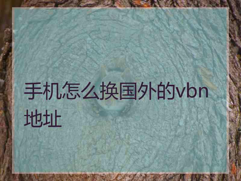 手机怎么换国外的vbn地址