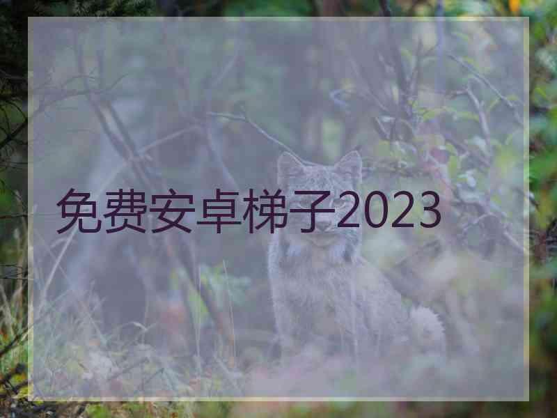 免费安卓梯子2023