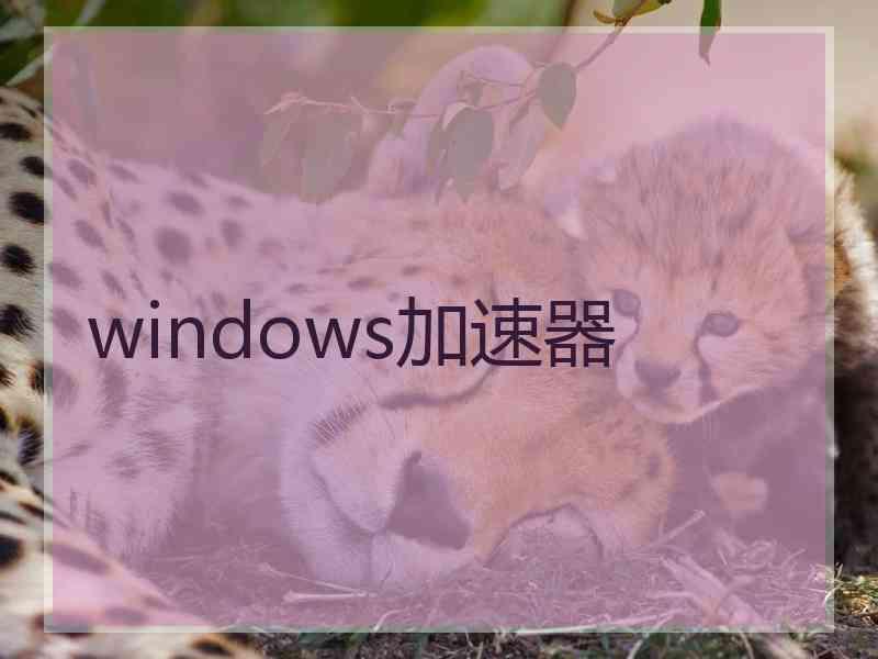 windows加速器