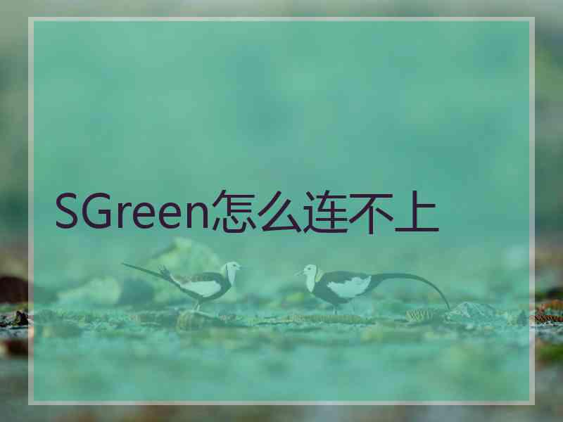 SGreen怎么连不上