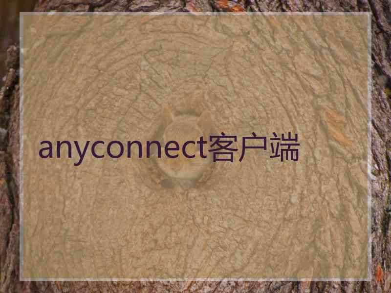 anyconnect客户端