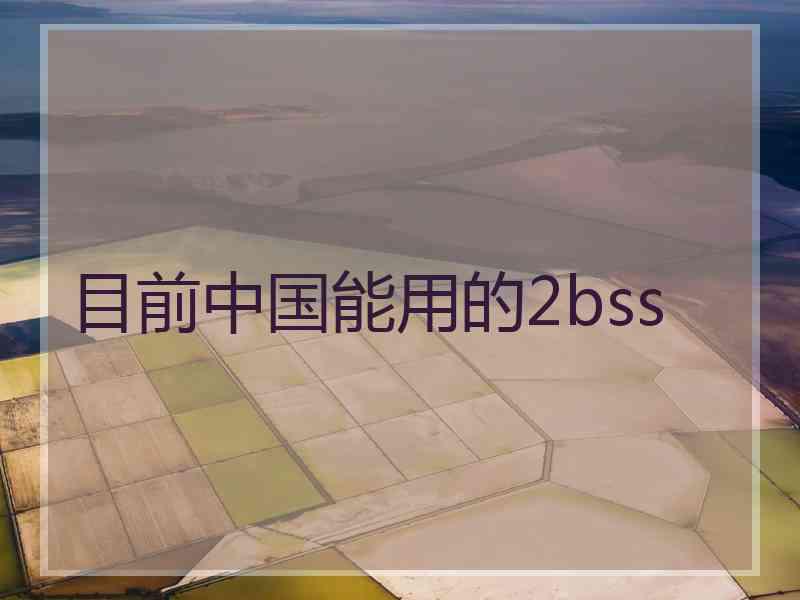 目前中国能用的2bss