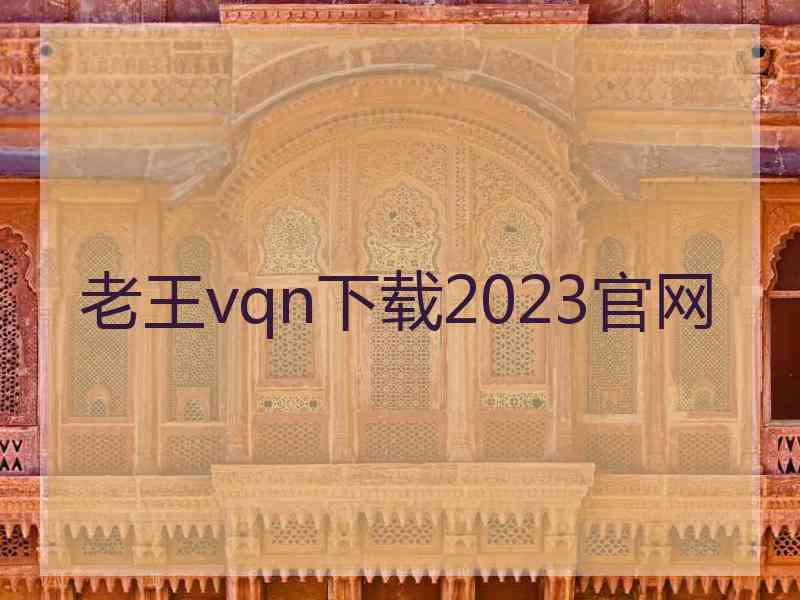 老王vqn下载2023官网