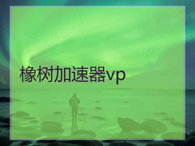 橡树加速器vp