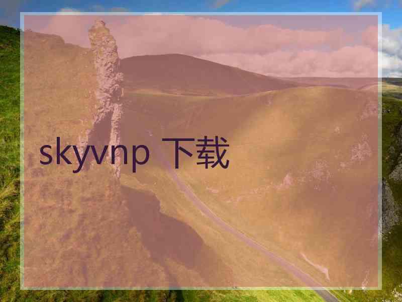 skyvnp 下载