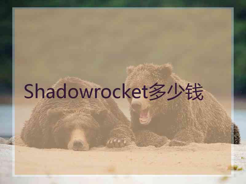 Shadowrocket多少钱