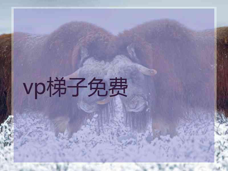 vp梯子免费