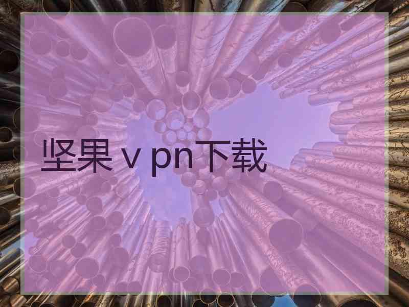 坚果ⅴpn下载