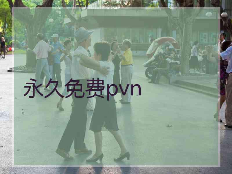 永久免费pvn