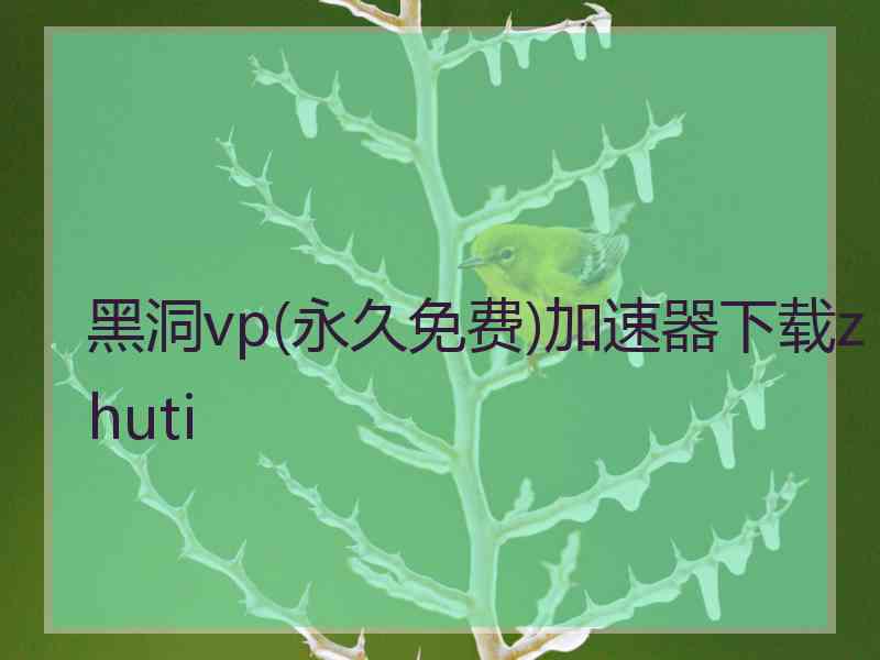 黑洞vp(永久免费)加速器下载zhuti