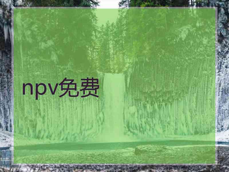 npv免费