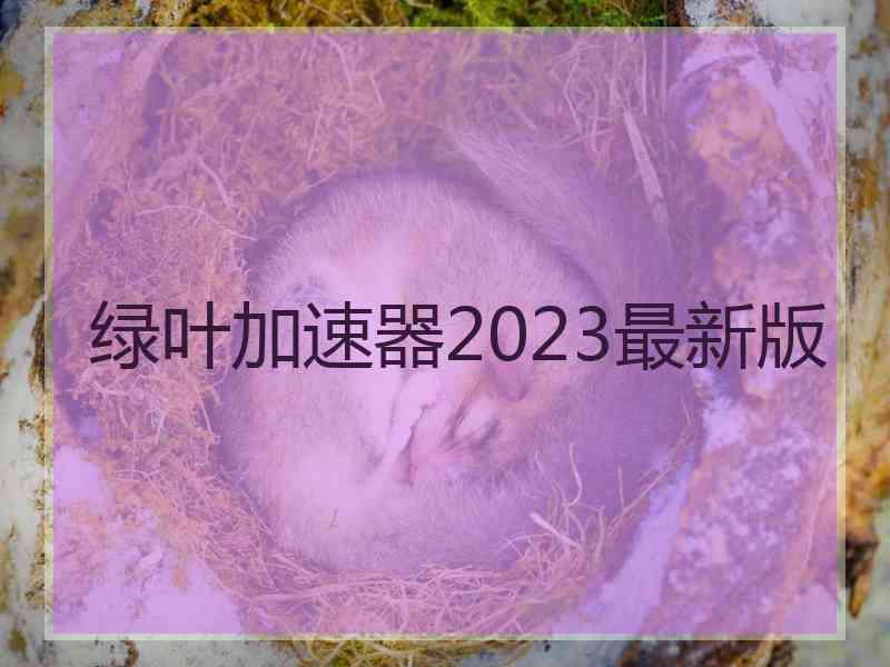 绿叶加速器2023最新版