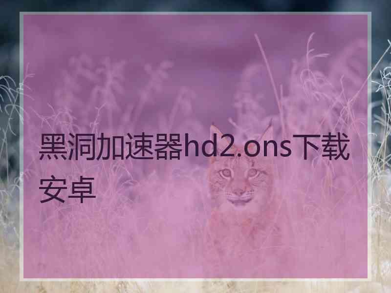 黑洞加速器hd2.ons下载安卓