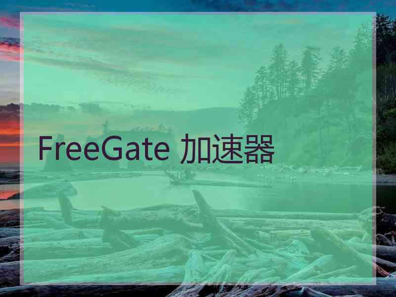 FreeGate 加速器