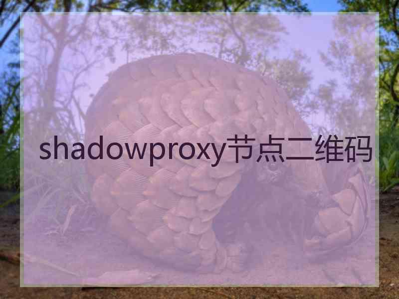 shadowproxy节点二维码