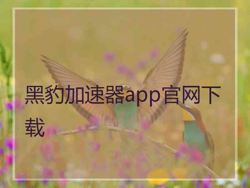 黑豹加速器app官网下载