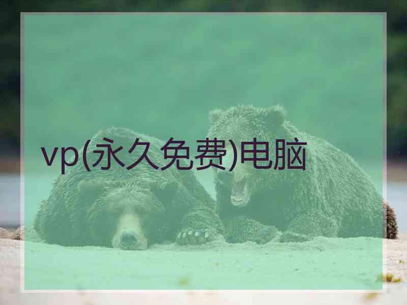 vp(永久免费)电脑