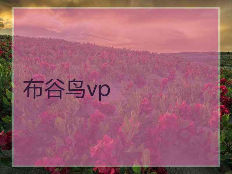 布谷鸟vp