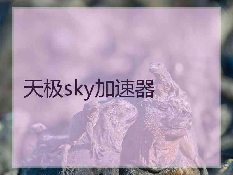 天极sky加速器