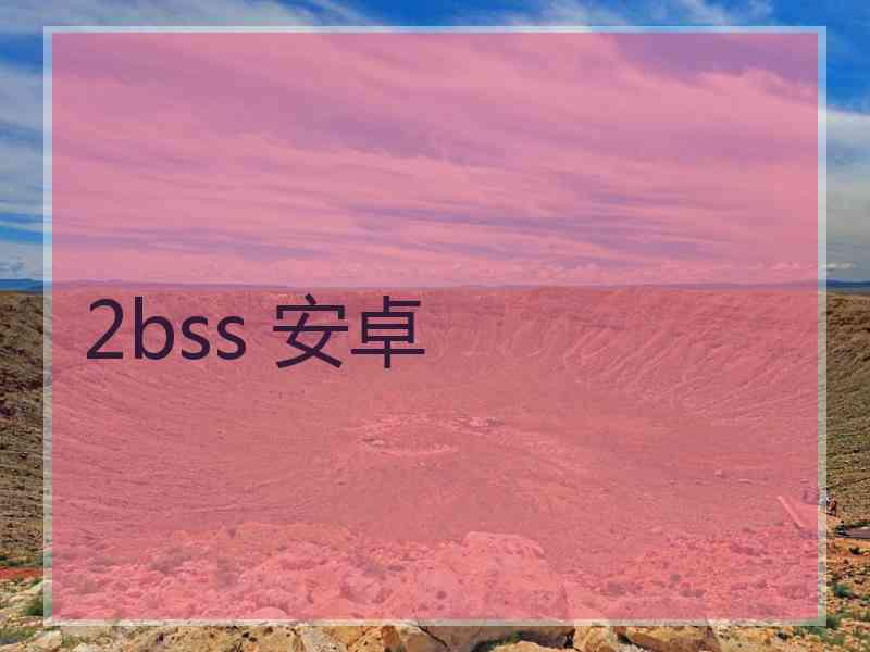 2bss 安卓