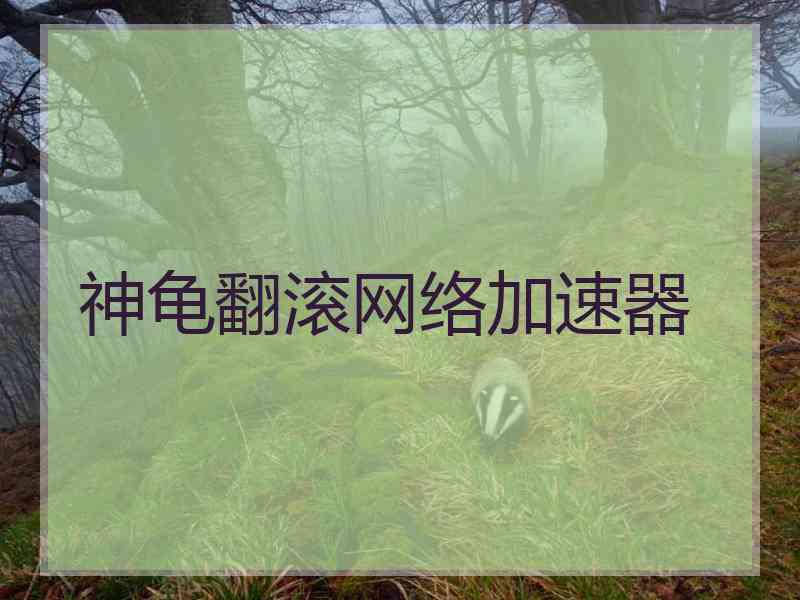 神龟翻滚网络加速器