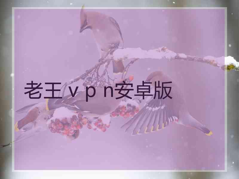 老王 v p n安卓版