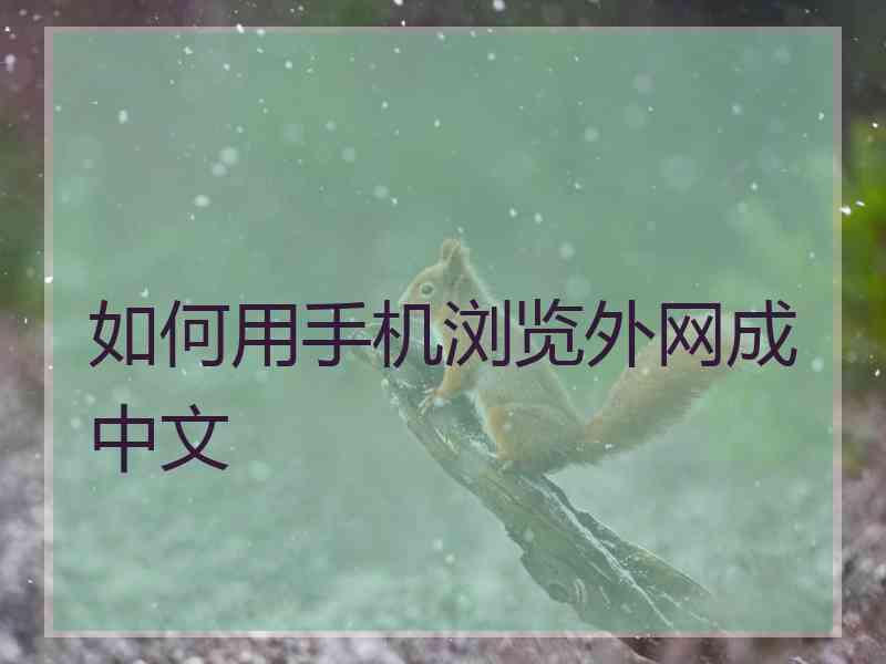 如何用手机浏览外网成中文