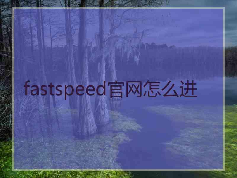 fastspeed官网怎么进