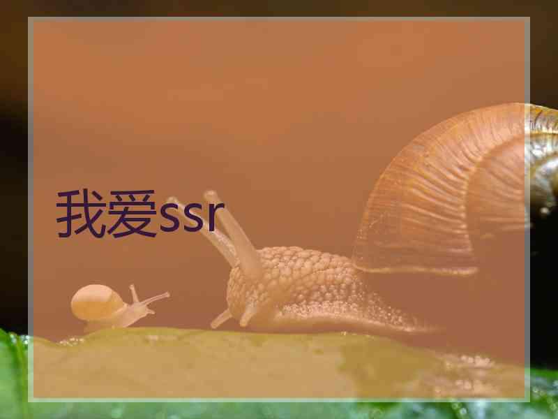 我爱ssr