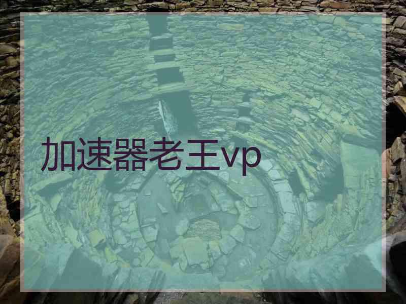 加速器老王vp