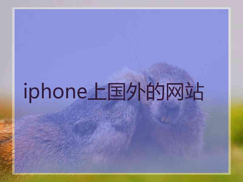 iphone上国外的网站