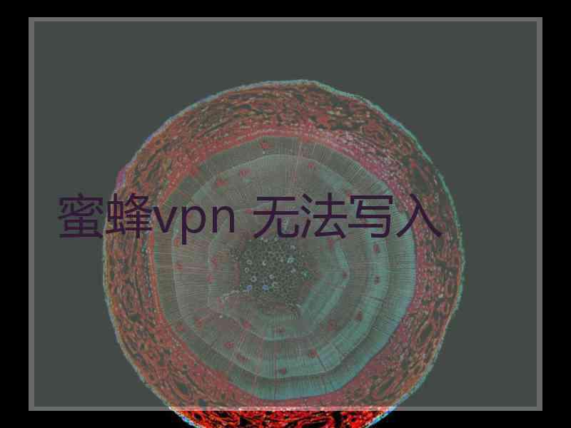 蜜蜂vpn 无法写入