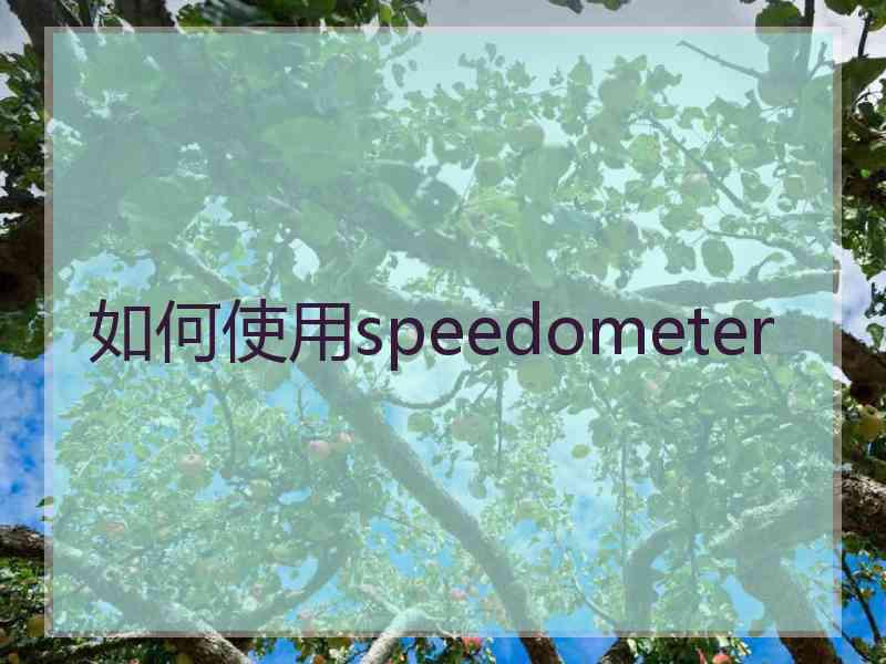 如何使用speedometer