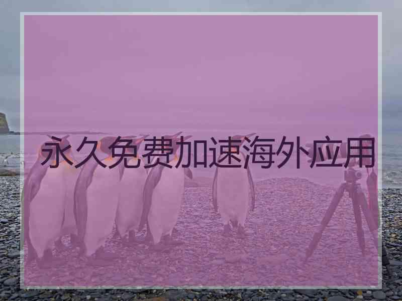 永久免费加速海外应用