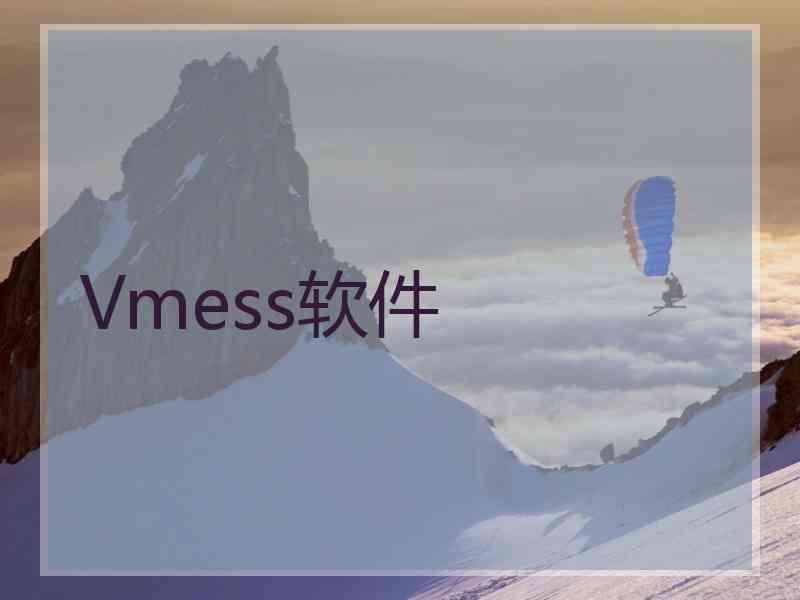 Vmess软件