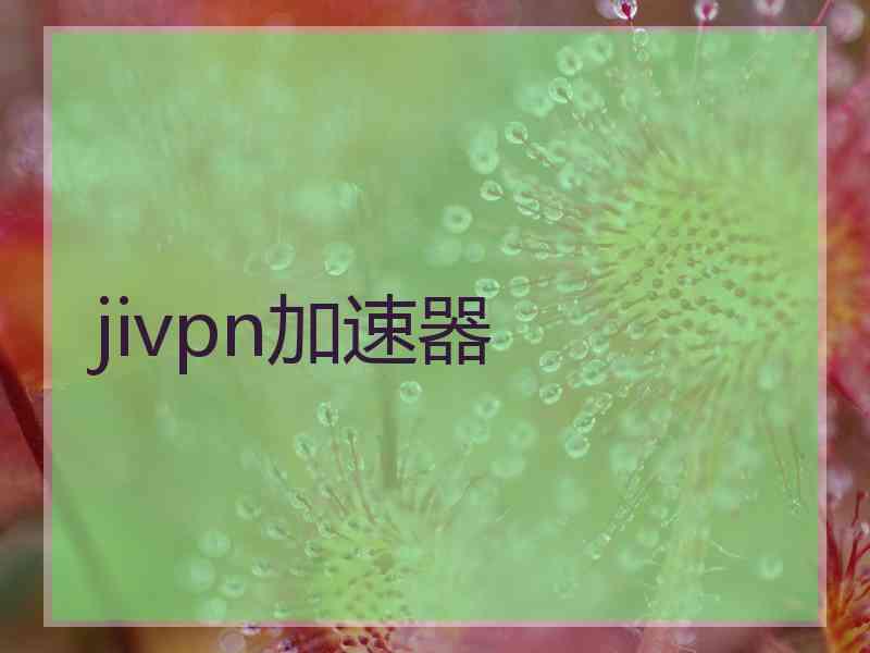 jivpn加速器