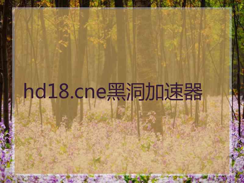 hd18.cne黑洞加速器