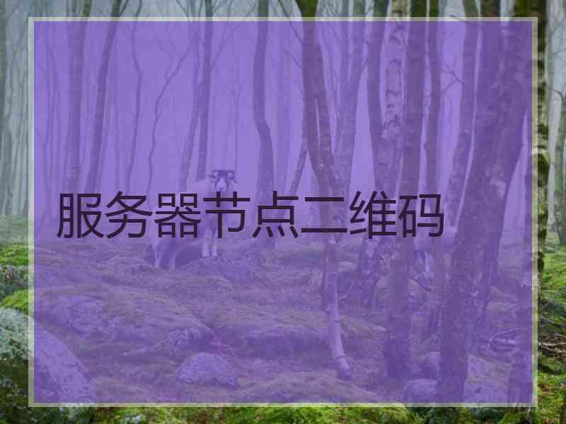 服务器节点二维码