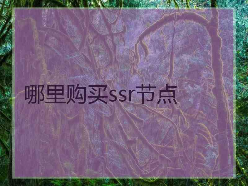 哪里购买ssr节点