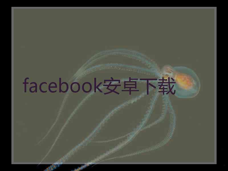 facebook安卓下载