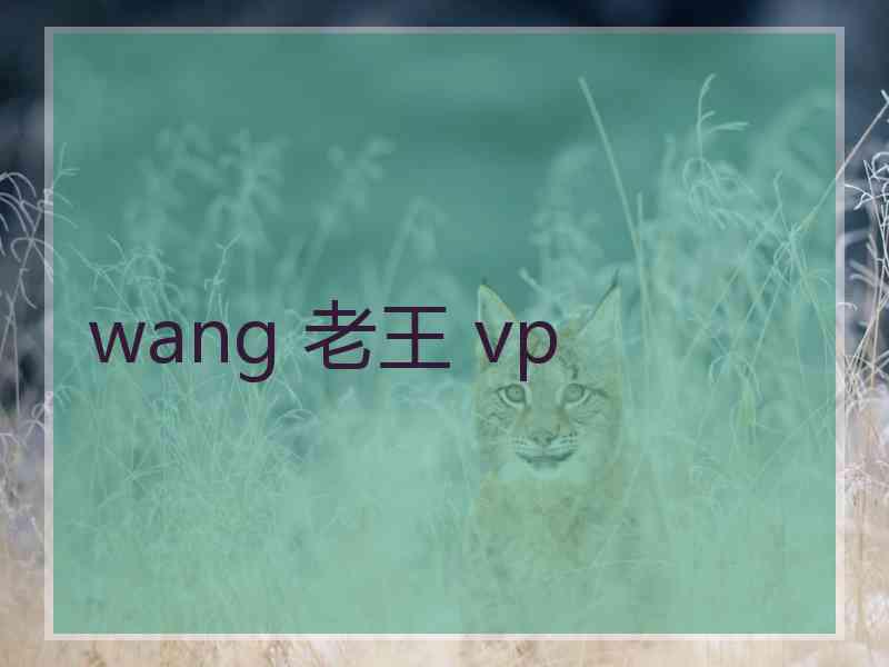 wang 老王 vp