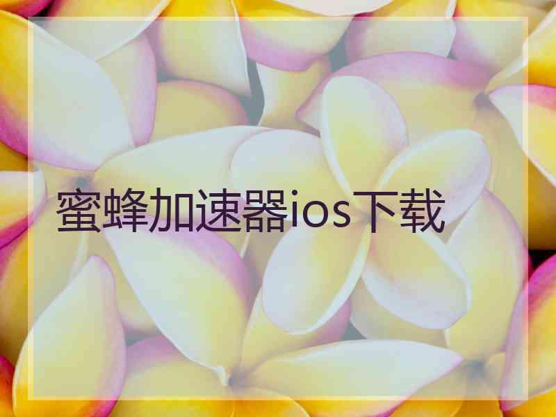 蜜蜂加速器ios下载