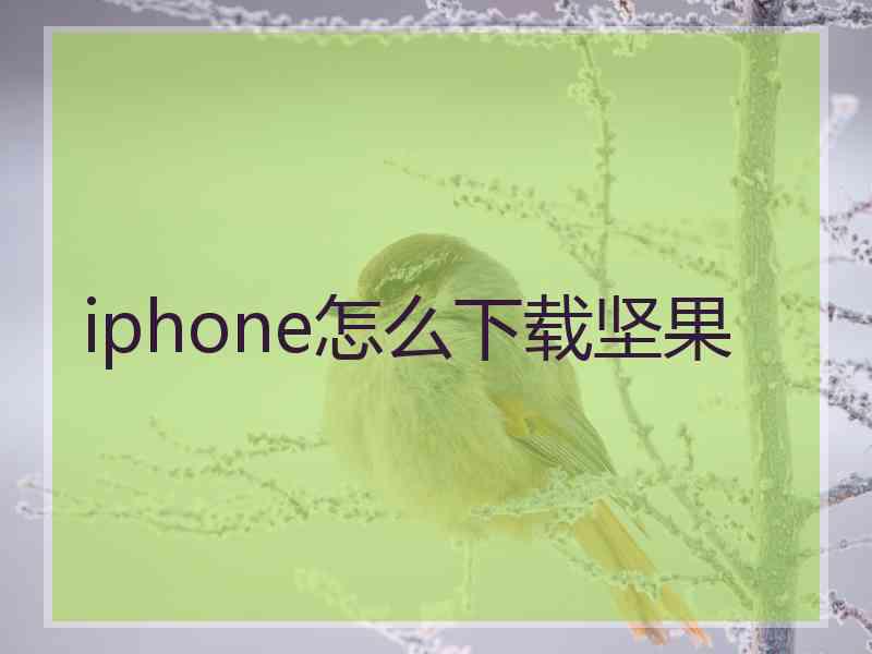 iphone怎么下载坚果