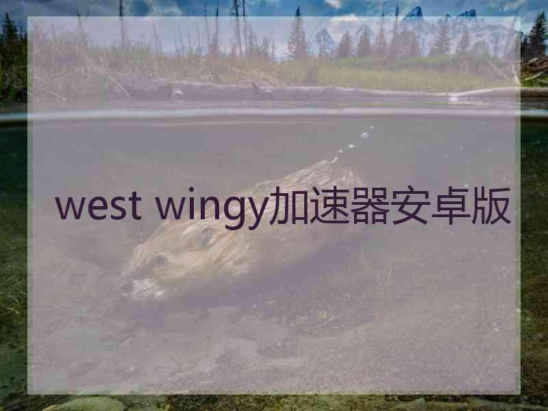 west wingy加速器安卓版