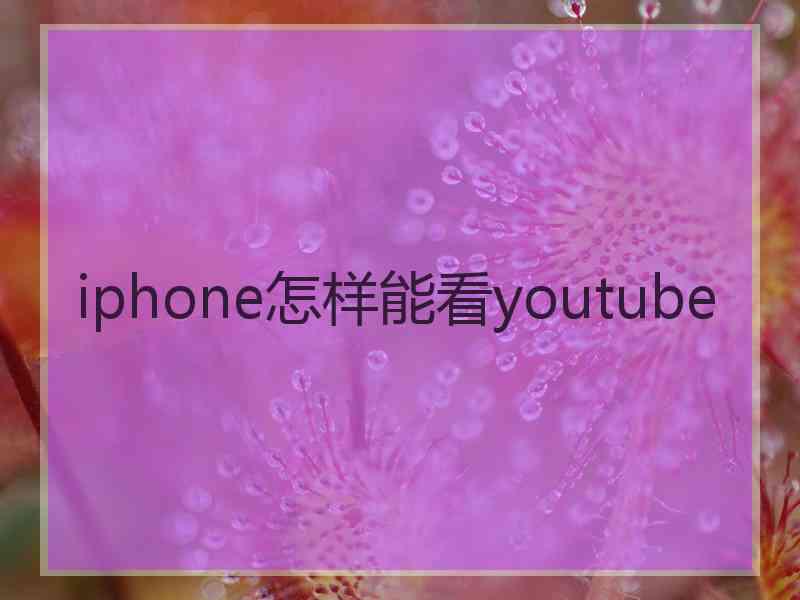 iphone怎样能看youtube