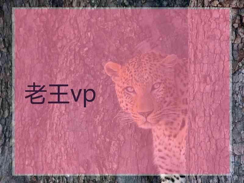 老王vp